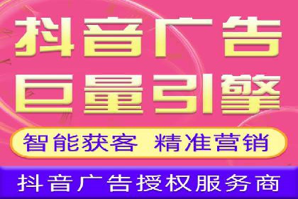 某电商平台的SEM推广策略及效果分析